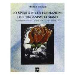Lo Spirito nella formazione dell'organismo umano