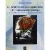 Lo Spirito nella formazione dell'organismo umano