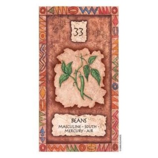 z-z Shaman Wisdom Cards - Carte