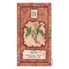 z-z Shaman Wisdom Cards - Carte
