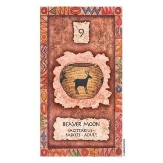 z-z Shaman Wisdom Cards - Carte