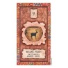 z-z Shaman Wisdom Cards - Carte