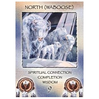 z-z Spirit of the Wheel. Meditation Deck - Carte