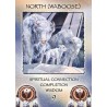z-z Spirit of the Wheel. Meditation Deck - Carte