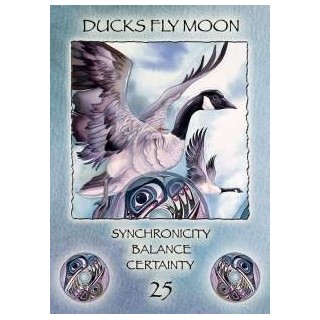 z-z Spirit of the Wheel. Meditation Deck - Carte