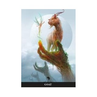 Chinese Oracle - Carte