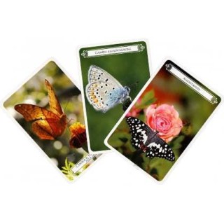 Le Carte delle Farfalle - Oracle card