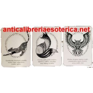 Il potere dello sciamano - libro + carte
