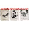 Il potere dello sciamano - libro + carte
