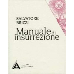 Manuale di insurrezione