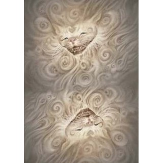 Alice in Wonderland Oracle - Carte