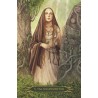 A Compendium of Witches. Oracle - Cofanetto: Carte + Libretto