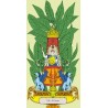Tarocchi Flora - Carte + Libro in Cofanetto