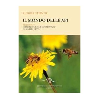 Il mondo delle api