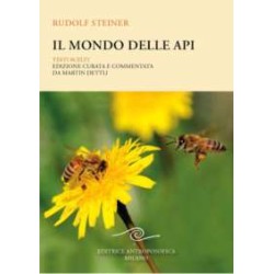 Il mondo delle api