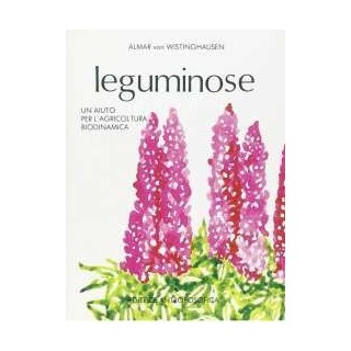 Leguminose