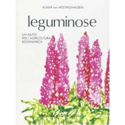 Leguminose