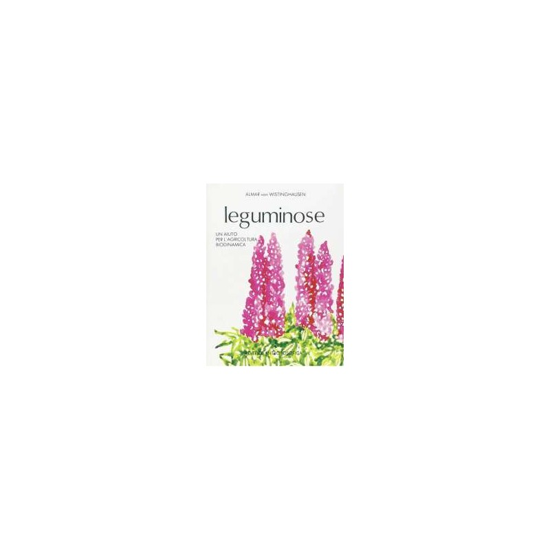 Leguminose