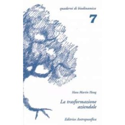 La Trasformazione aziendale