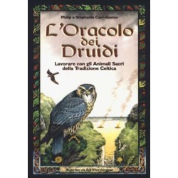 Oracolo dei Druidi - Carte + Libro