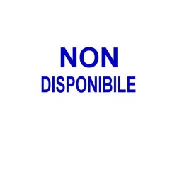 zz Manuale Magico degli Spiriti Folletti