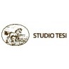 Studio Tesi